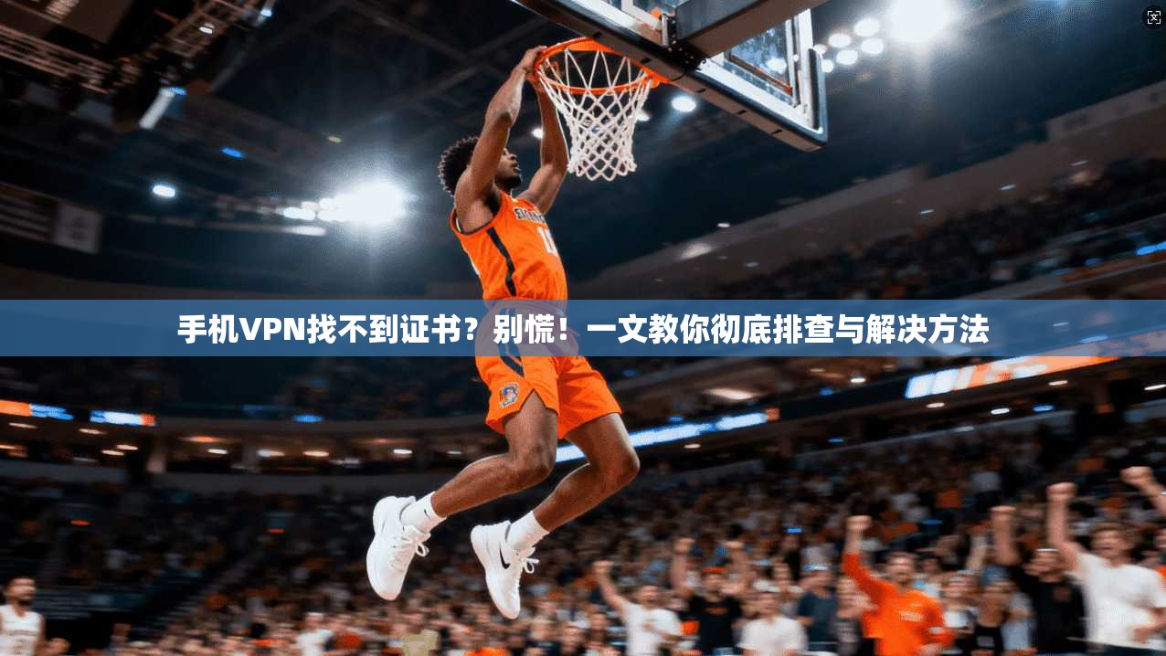 手机VPN找不到证书？别慌！一文教你彻底排查与解决方法