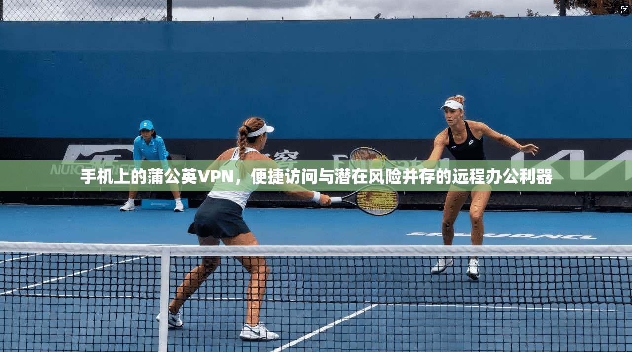 手机上的蒲公英VPN，便捷访问与潜在风险并存的远程办公利器