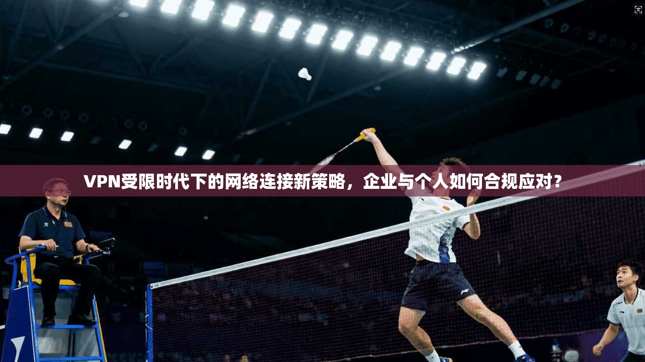 VPN受限时代下的网络连接新策略，企业与个人如何合规应对？