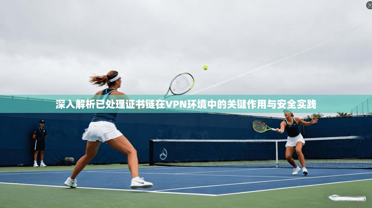 深入解析已处理证书链在VPN环境中的关键作用与安全实践