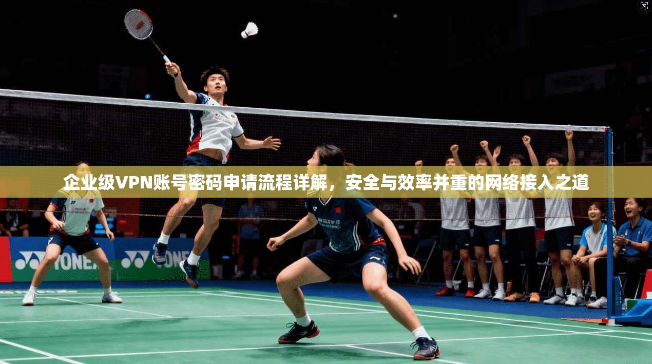 企业级VPN账号密码申请流程详解，安全与效率并重的网络接入之道