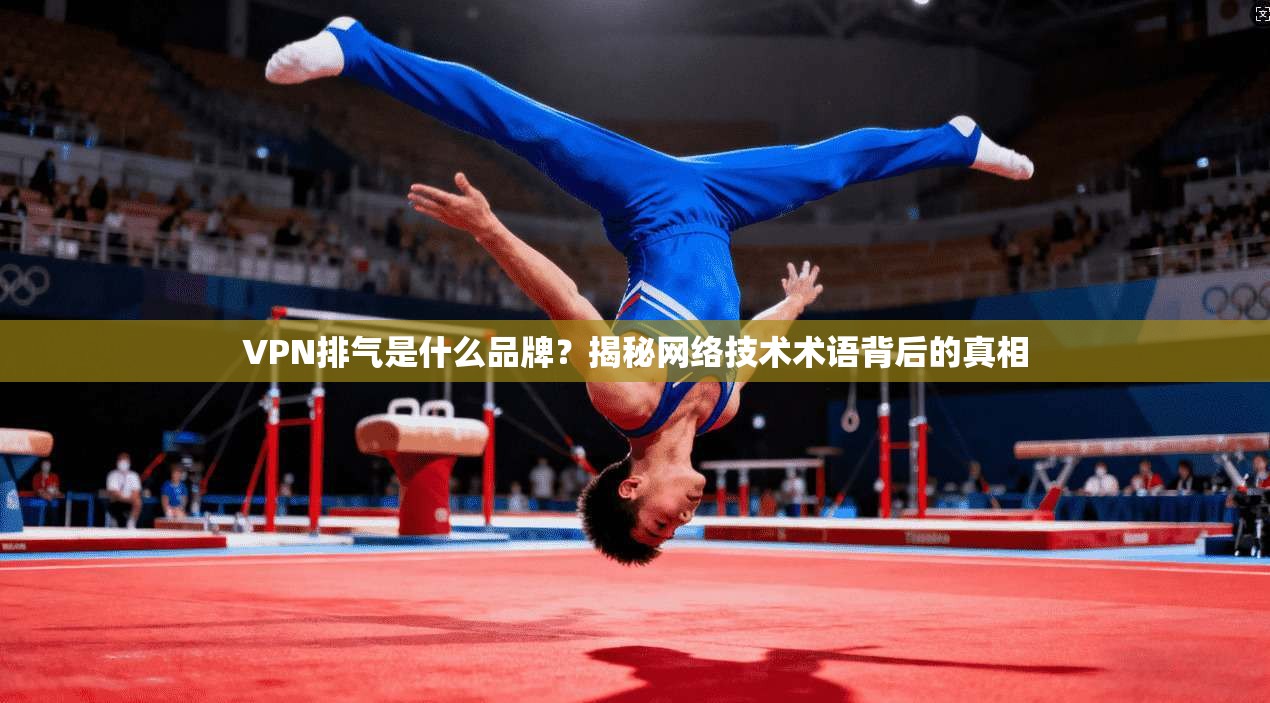 VPN排气是什么品牌？揭秘网络技术术语背后的真相
