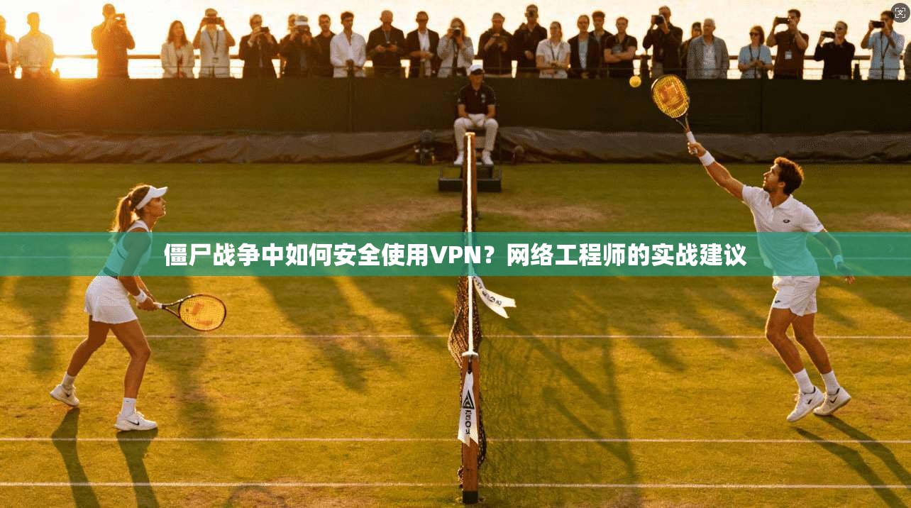 僵尸战争中如何安全使用VPN？网络工程师的实战建议