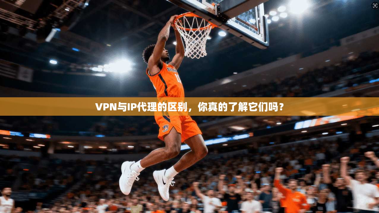 VPN与IP代理的区别，你真的了解它们吗？