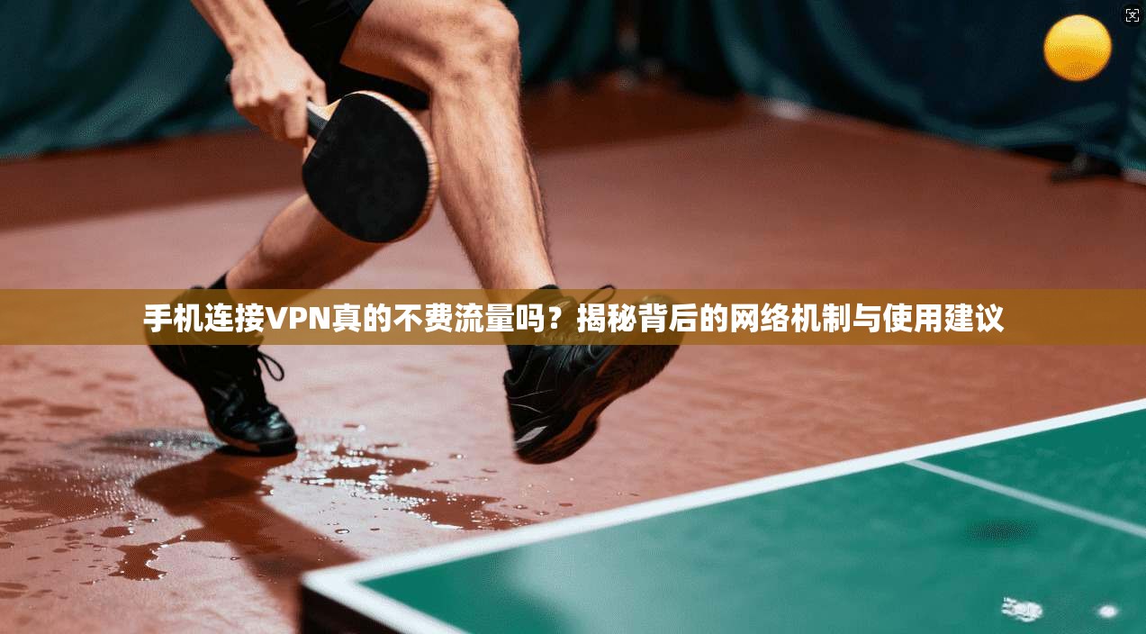 手机连接VPN真的不费流量吗？揭秘背后的网络机制与使用建议