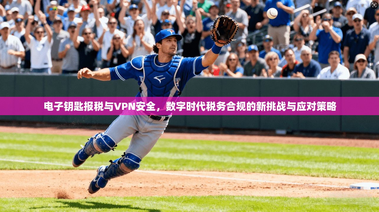 电子钥匙报税与VPN安全,数字时代税务合规的新挑战与应对策略