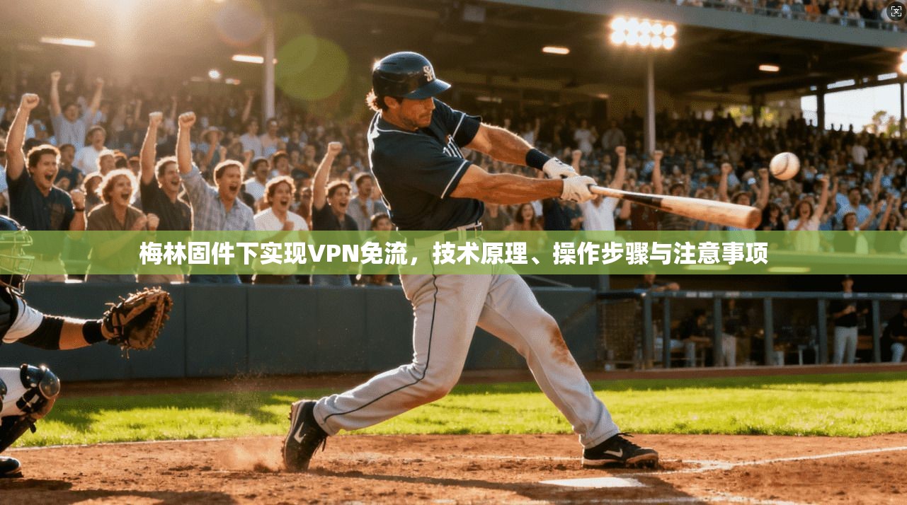 梅林固件下实现VPN免流,技术原理、操作步骤与注意事项