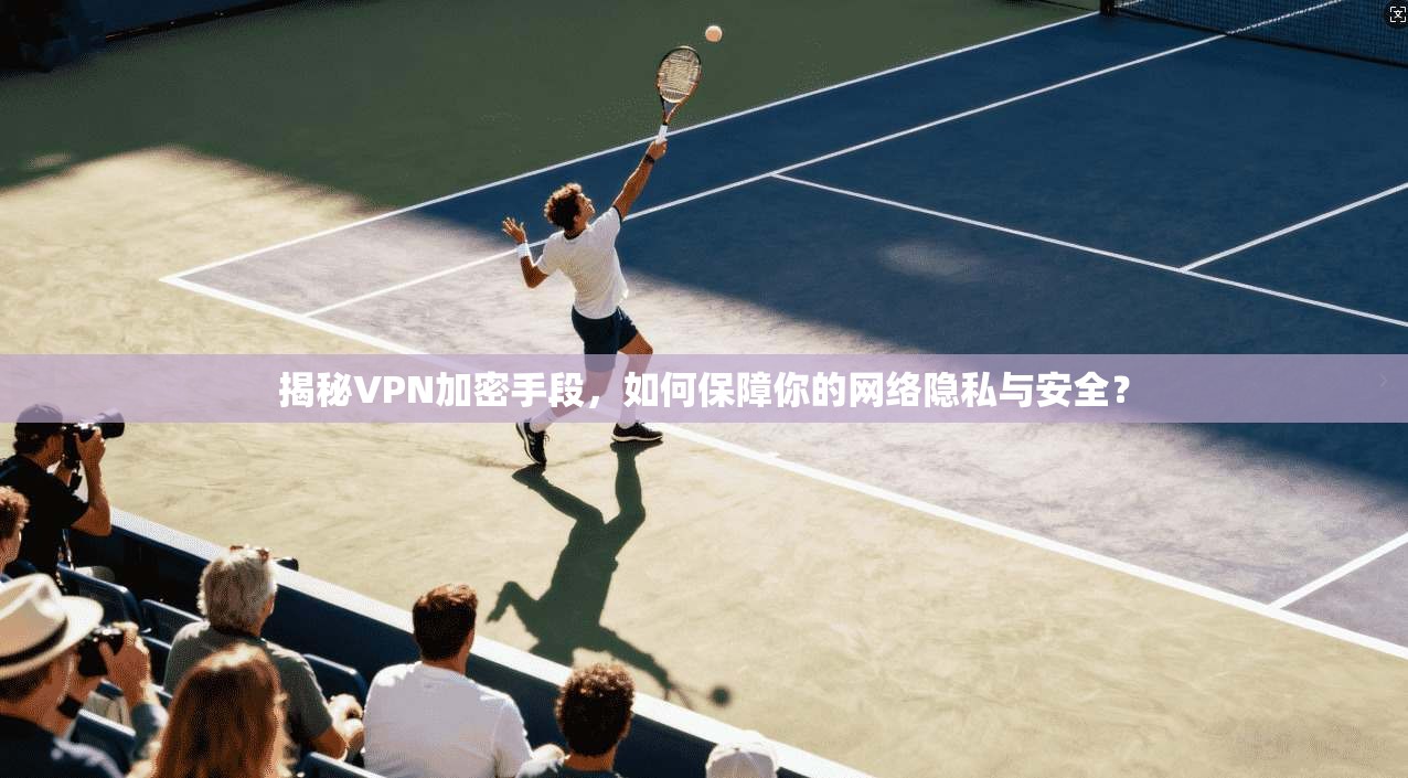 揭秘VPN加密手段，如何保障你的网络隐私与安全？