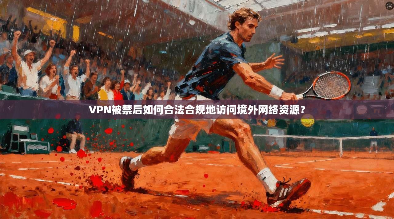 VPN被禁后如何合法合规地访问境外网络资源?