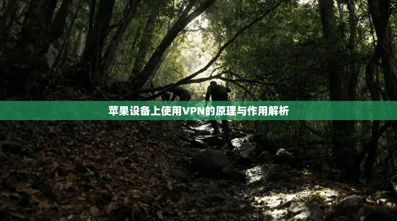 苹果设备上使用VPN的原理与作用解析