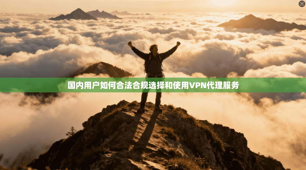 国内用户如何合法合规选择和使用VPN代理服务