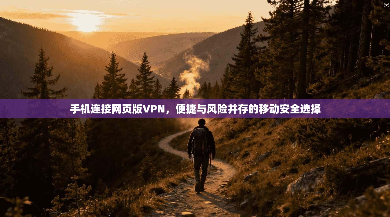 手机连接网页版VPN，便捷与风险并存的移动安全选择