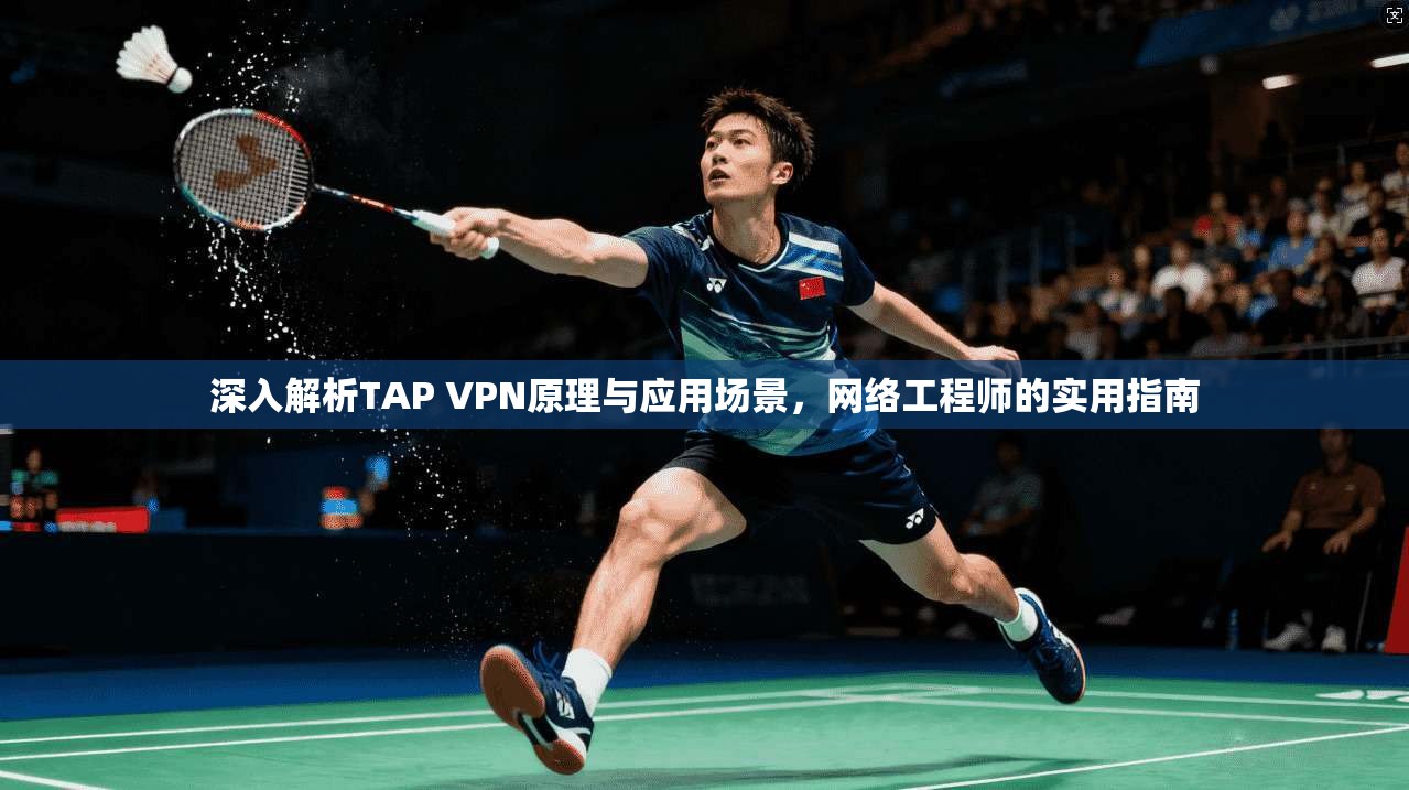 深入解析TAP VPN原理与应用场景,网络工程师的实用指南