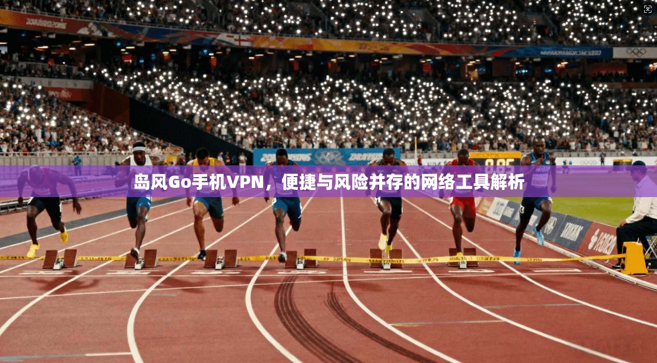 岛风Go手机VPN，便捷与风险并存的网络工具解析