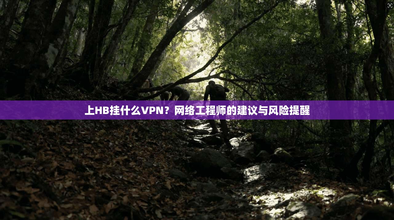 上HB挂什么VPN？网络工程师的建议与风险提醒