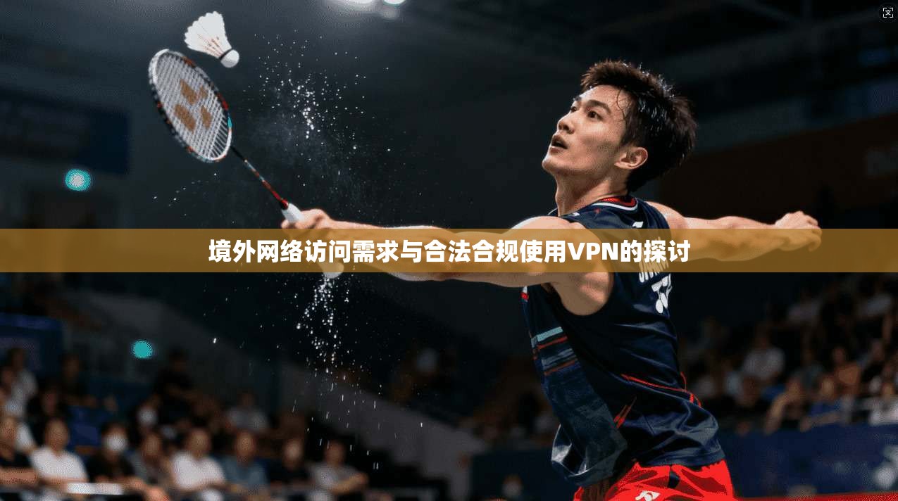 境外网络访问需求与合法合规使用VPN的探讨