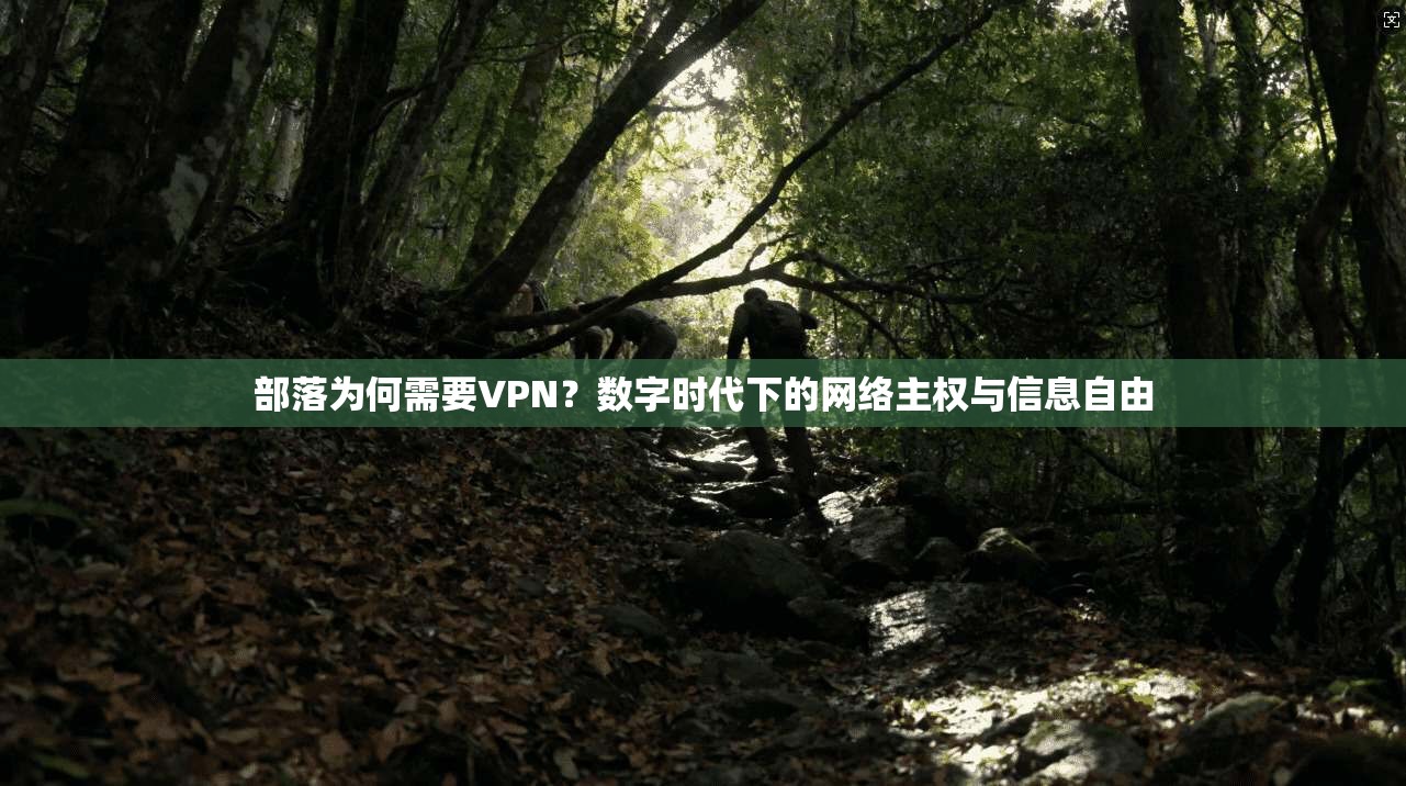 部落为何需要VPN？数字时代下的网络主权与信息自由