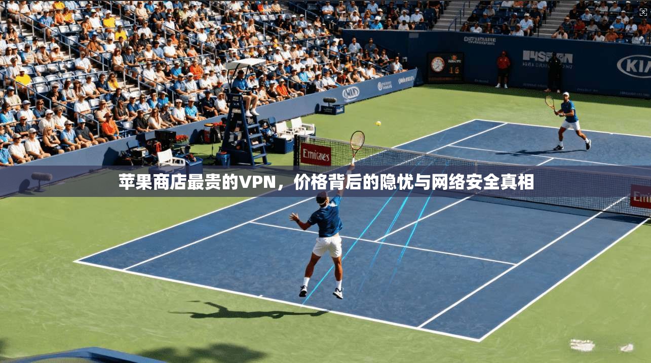 苹果商店最贵的VPN，价格背后的隐忧与网络安全真相