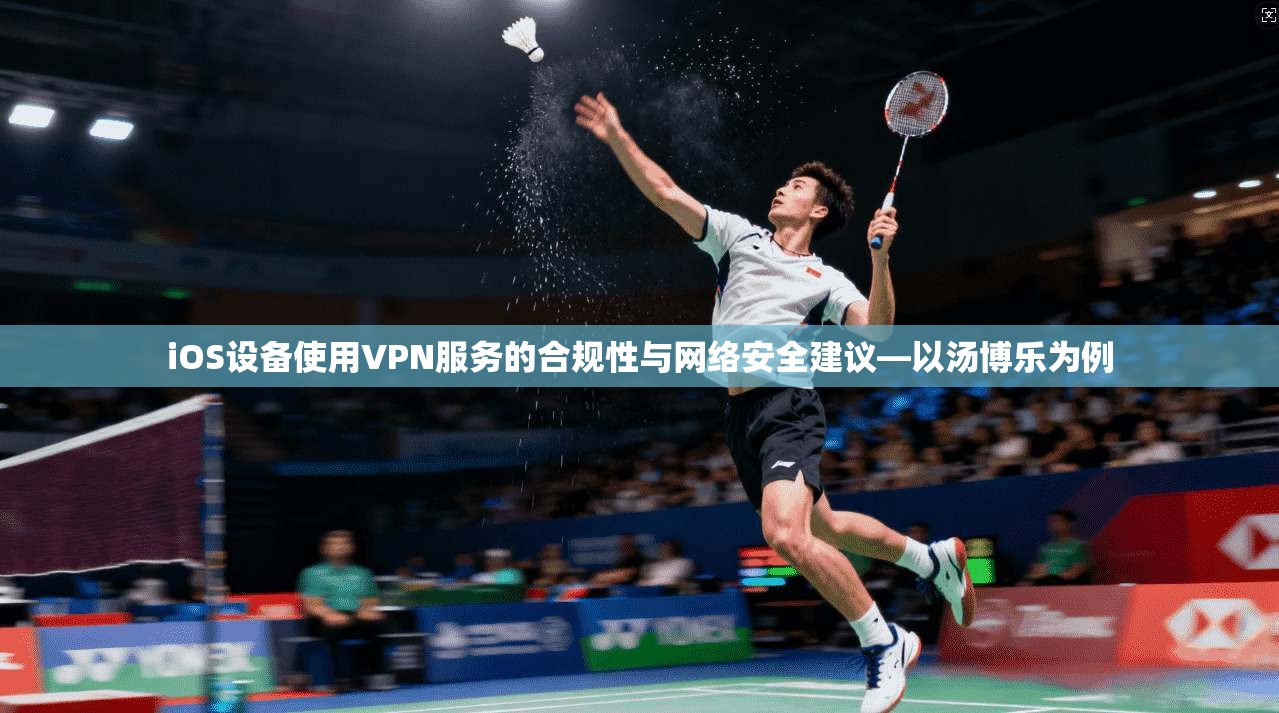 iOS设备使用VPN服务的合规性与网络安全建议—以汤博乐为例