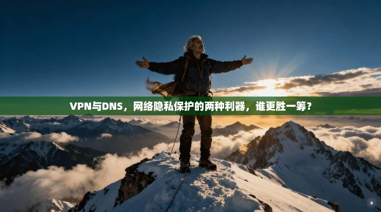 VPN与DNS，网络隐私保护的两种利器，谁更胜一筹？