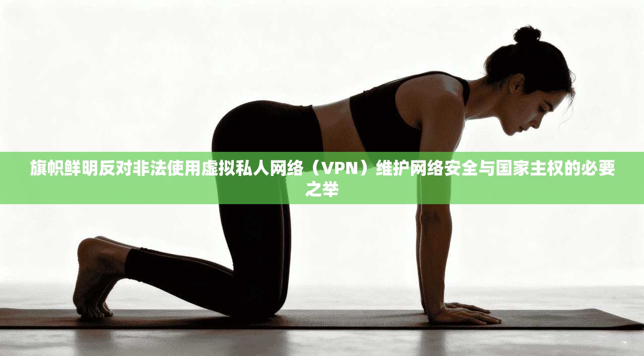 旗帜鲜明反对非法使用虚拟私人网络（VPN）维护网络安全与国家主权的必要之举