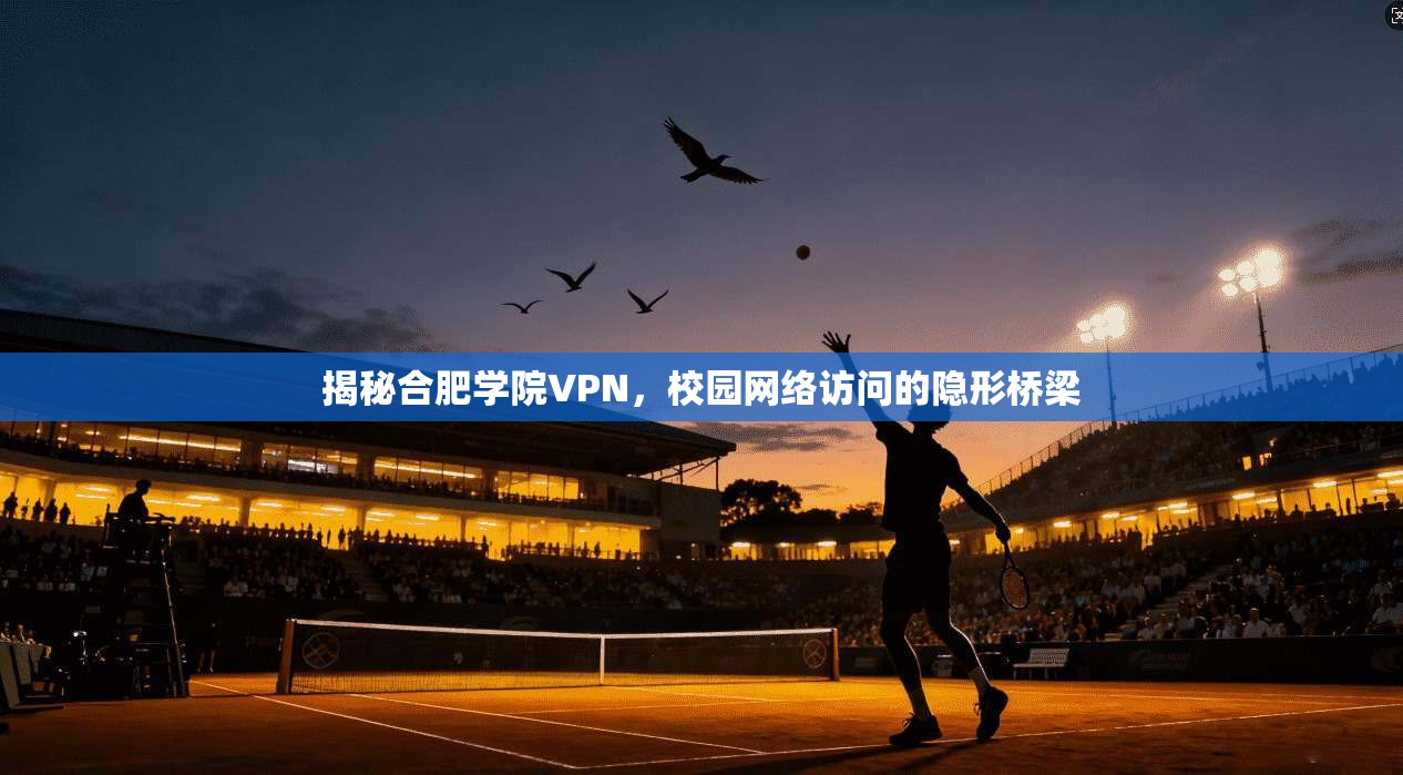 揭秘合肥学院VPN,校园网络访问的隐形桥梁