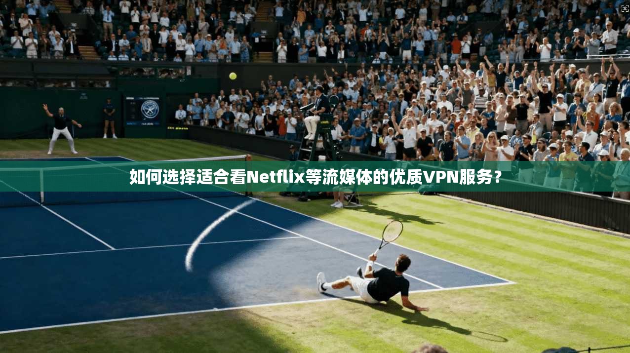 如何选择适合看Netflix等流媒体的优质VPN服务？