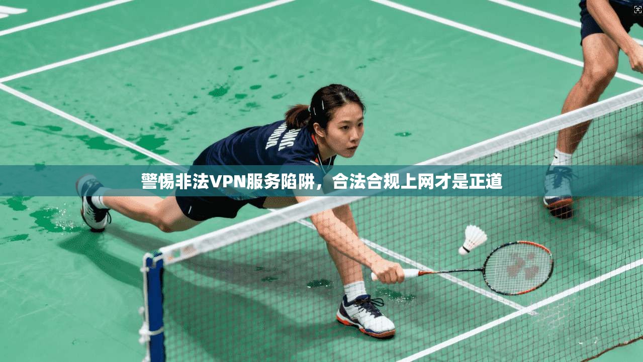 警惕非法VPN服务陷阱,合法合规上网才是正道