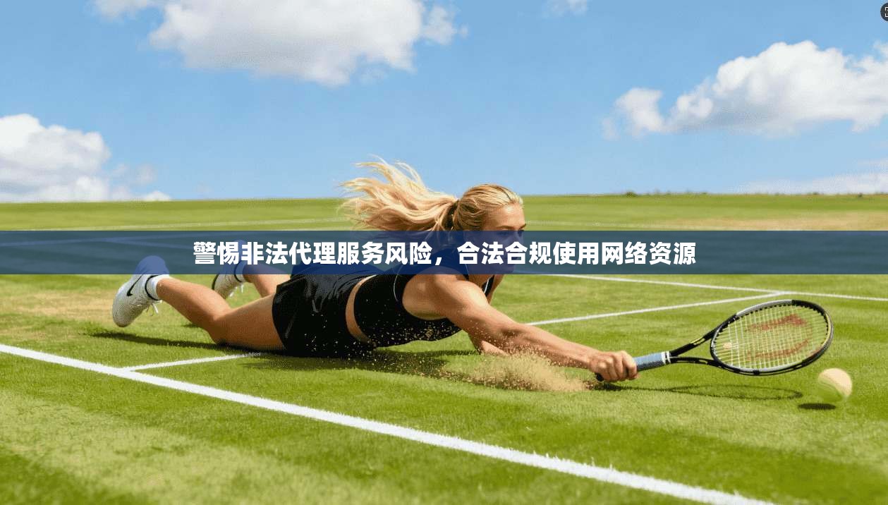 警惕非法代理服务风险,合法合规使用网络资源