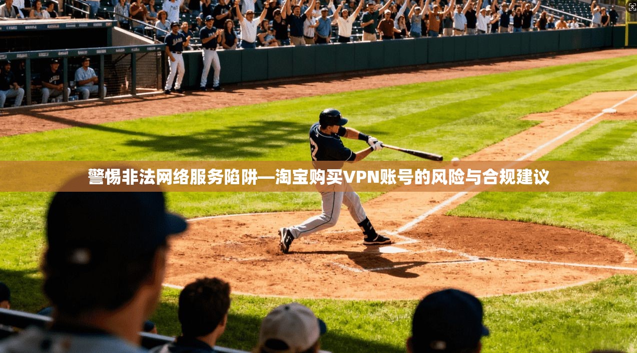 警惕非法网络服务陷阱—淘宝购买VPN账号的风险与合规建议