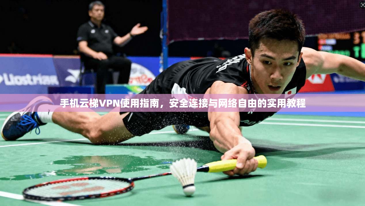手机云梯VPN使用指南，安全连接与网络自由的实用教程