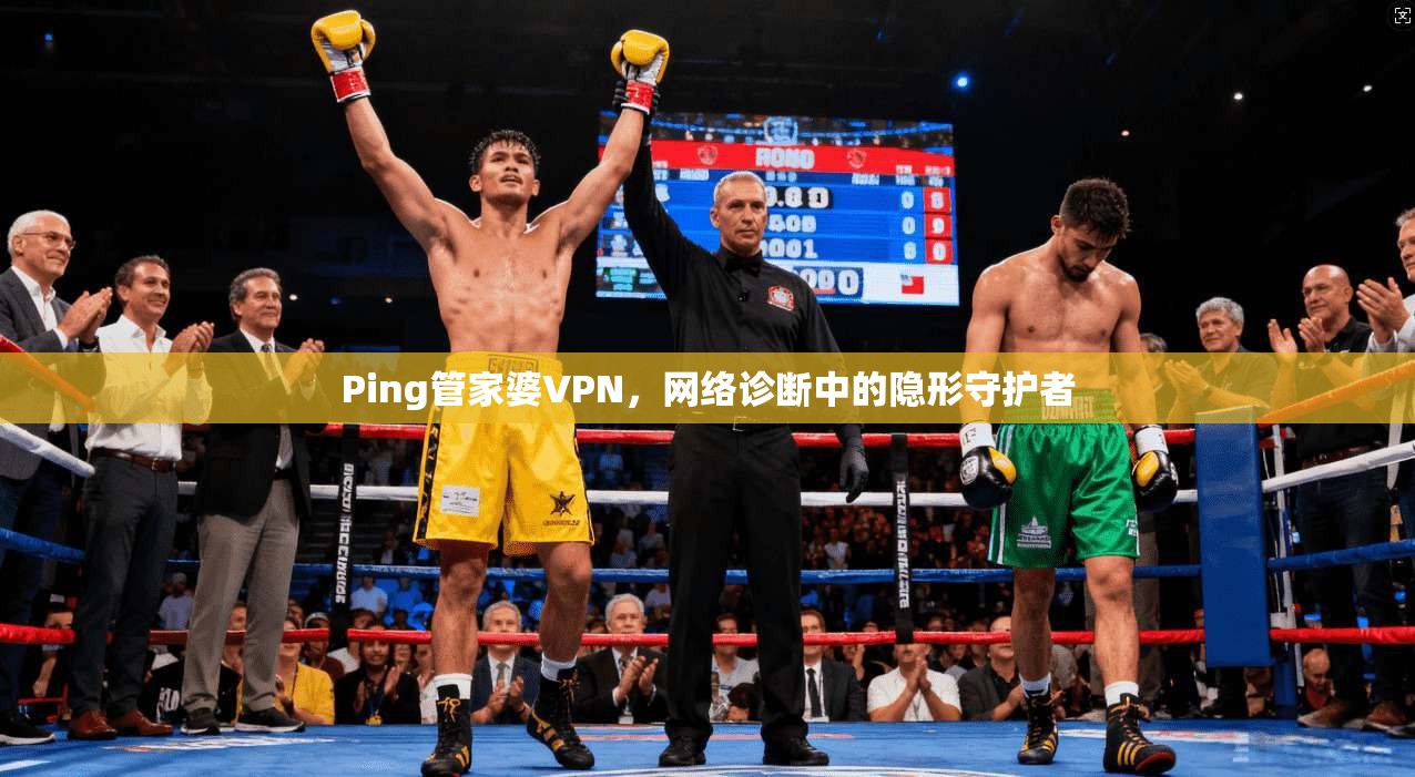 Ping管家婆VPN，网络诊断中的隐形守护者