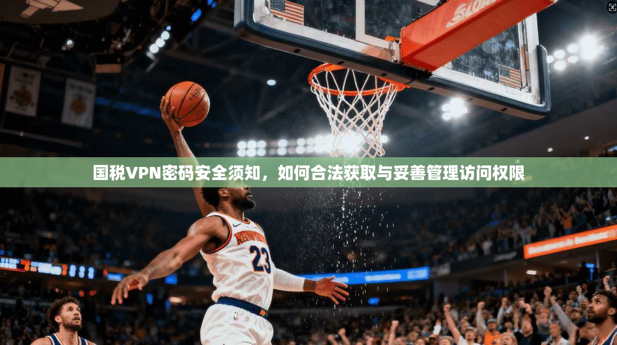 国税VPN密码安全须知，如何合法获取与妥善管理访问权限