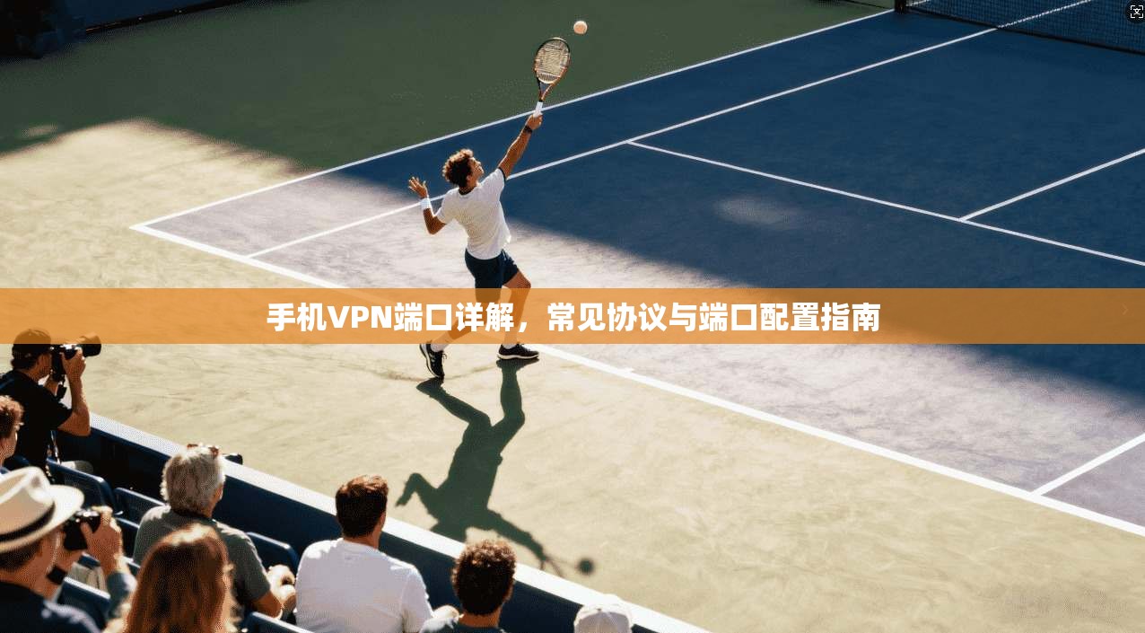 手机VPN端口详解,常见协议与端口配置指南