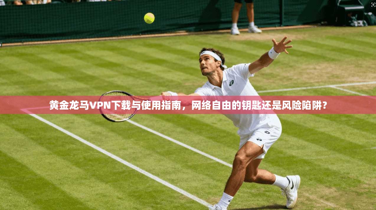 黄金龙马VPN下载与使用指南,网络自由的钥匙还是风险陷阱?