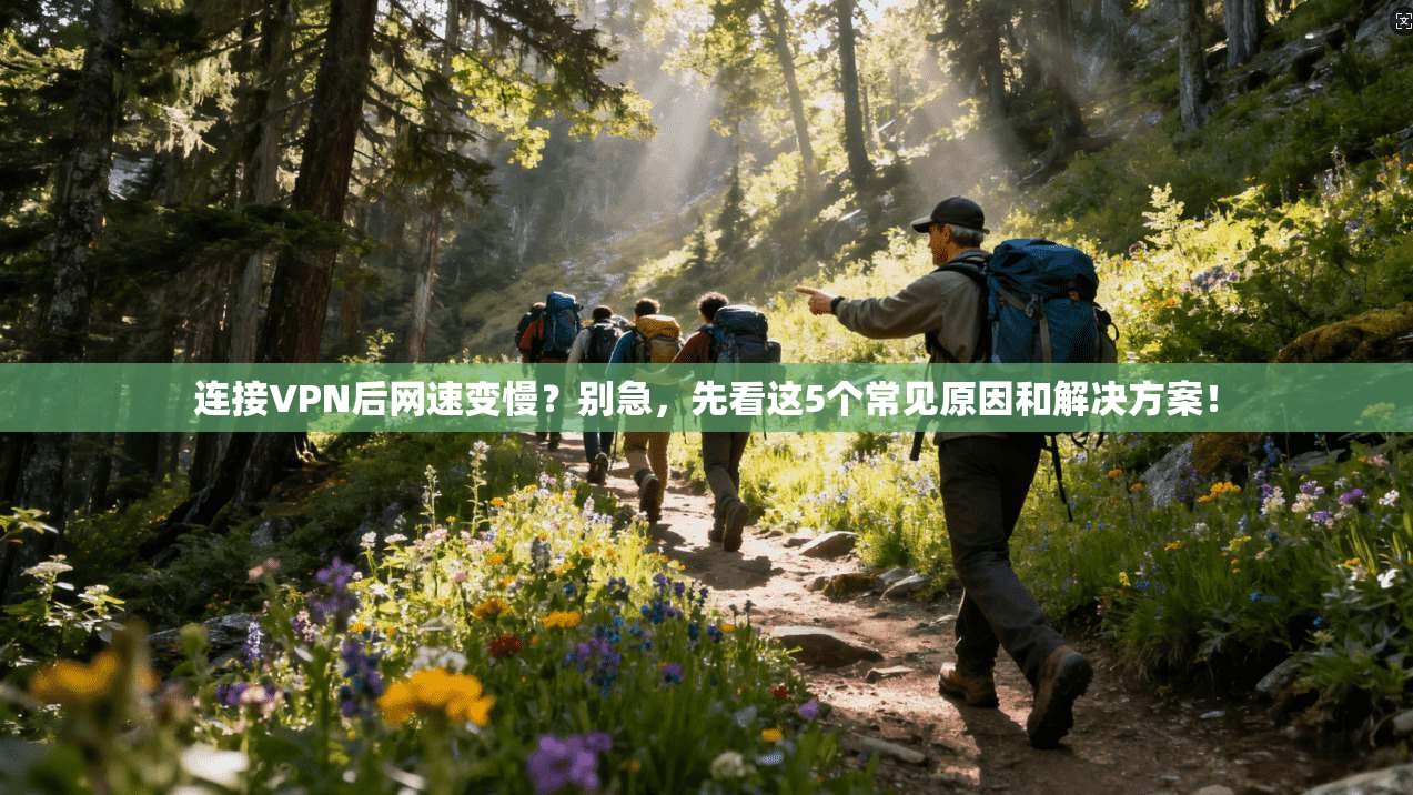 连接VPN后网速变慢？别急，先看这5个常见原因和解决方案！