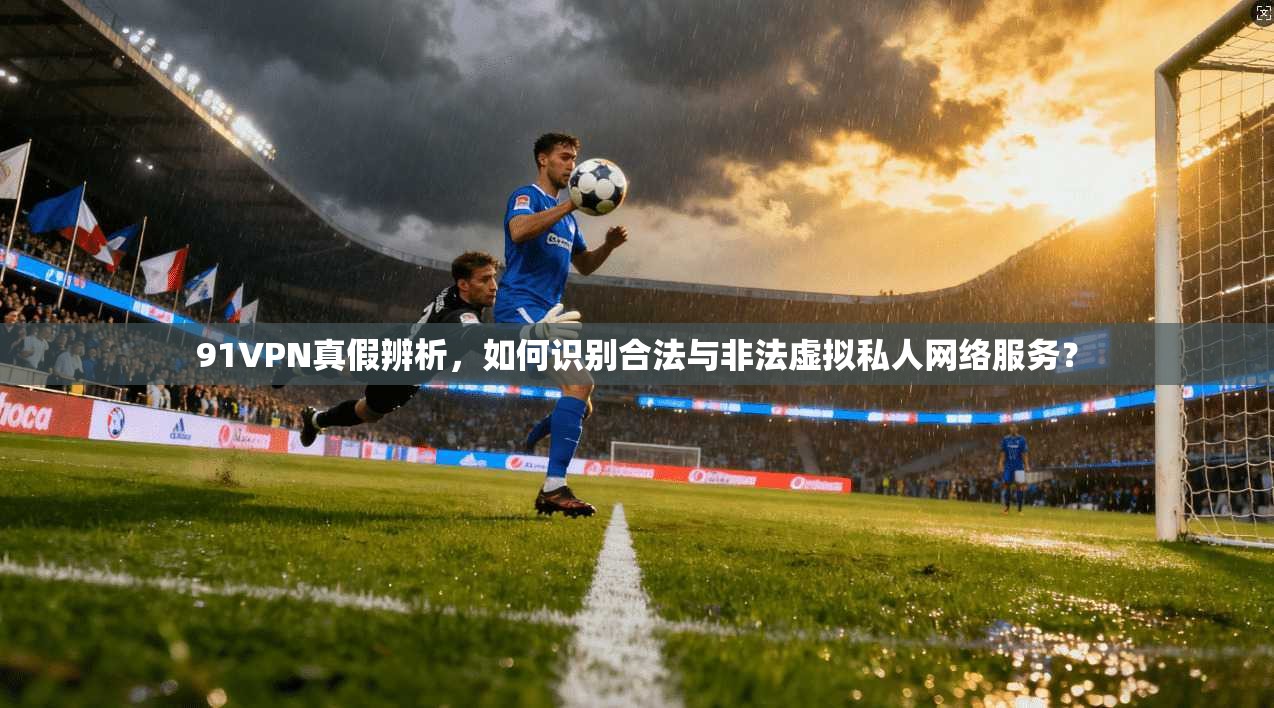 91VPN真假辨析，如何识别合法与非法虚拟私人网络服务？