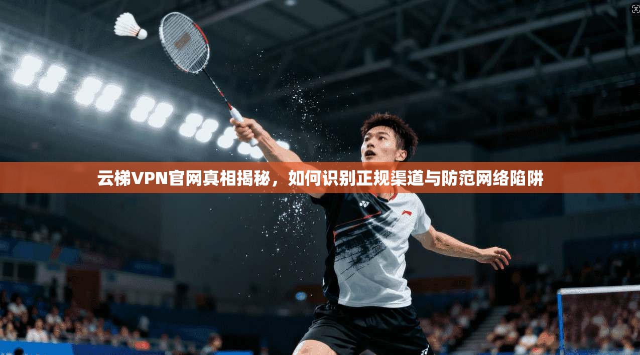 云梯VPN官网真相揭秘，如何识别正规渠道与防范网络陷阱