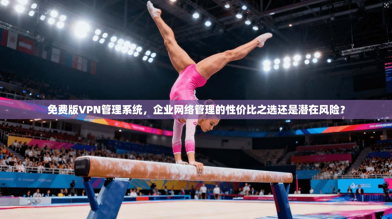 免费版VPN管理系统，企业网络管理的性价比之选还是潜在风险？
