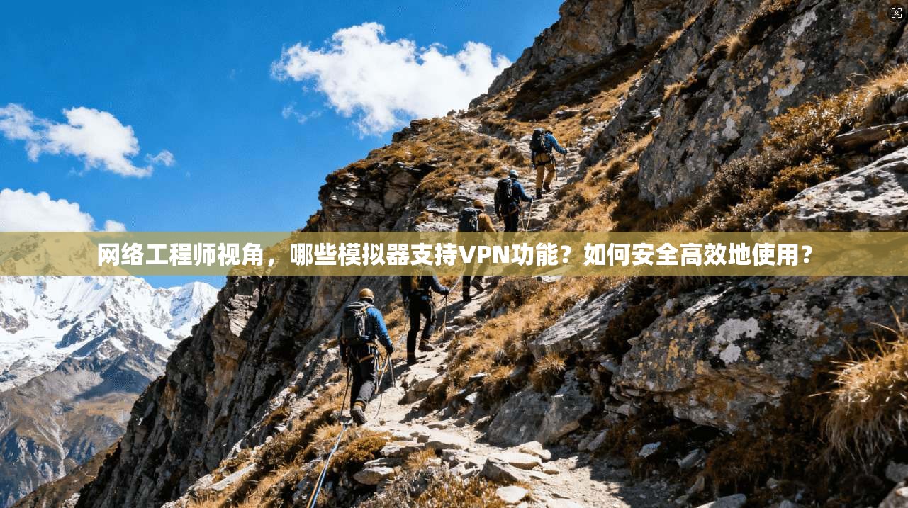 网络工程师视角，哪些模拟器支持VPN功能？如何安全高效地使用？