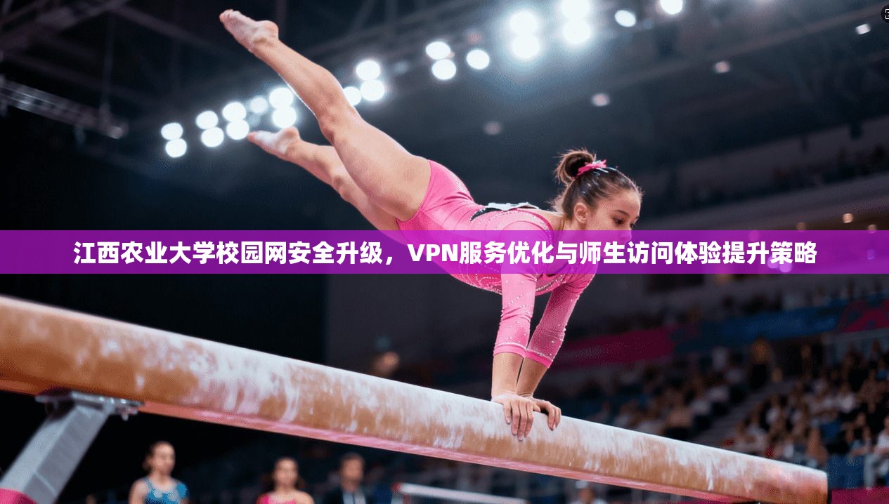 江西农业大学校园网安全升级，VPN服务优化与师生访问体验提升策略