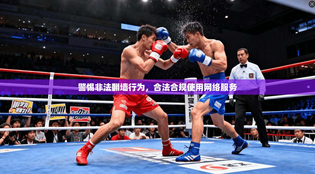 警惕非法翻墙行为,合法合规使用网络服务