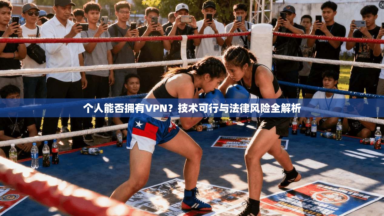 个人能否拥有VPN?技术可行与法律风险全解析