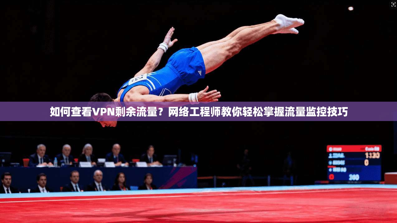 如何查看VPN剩余流量？网络工程师教你轻松掌握流量监控技巧
