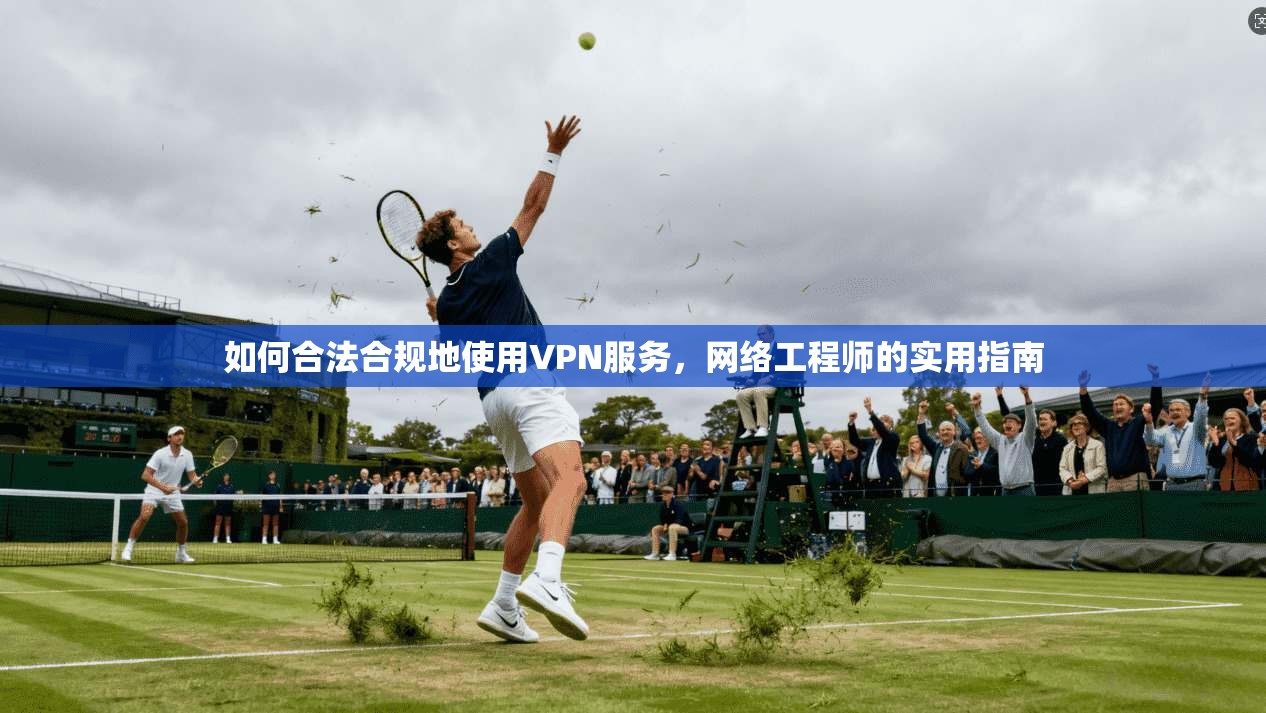 如何合法合规地使用VPN服务,网络工程师的实用指南