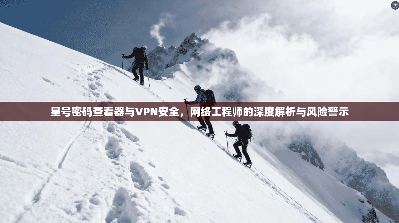 星号密码查看器与VPN安全，网络工程师的深度解析与风险警示