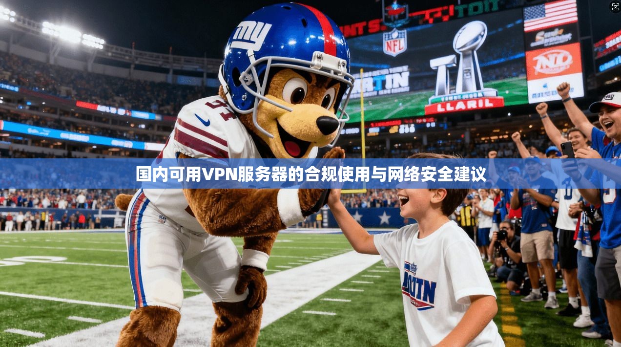 国内可用VPN服务器的合规使用与网络安全建议