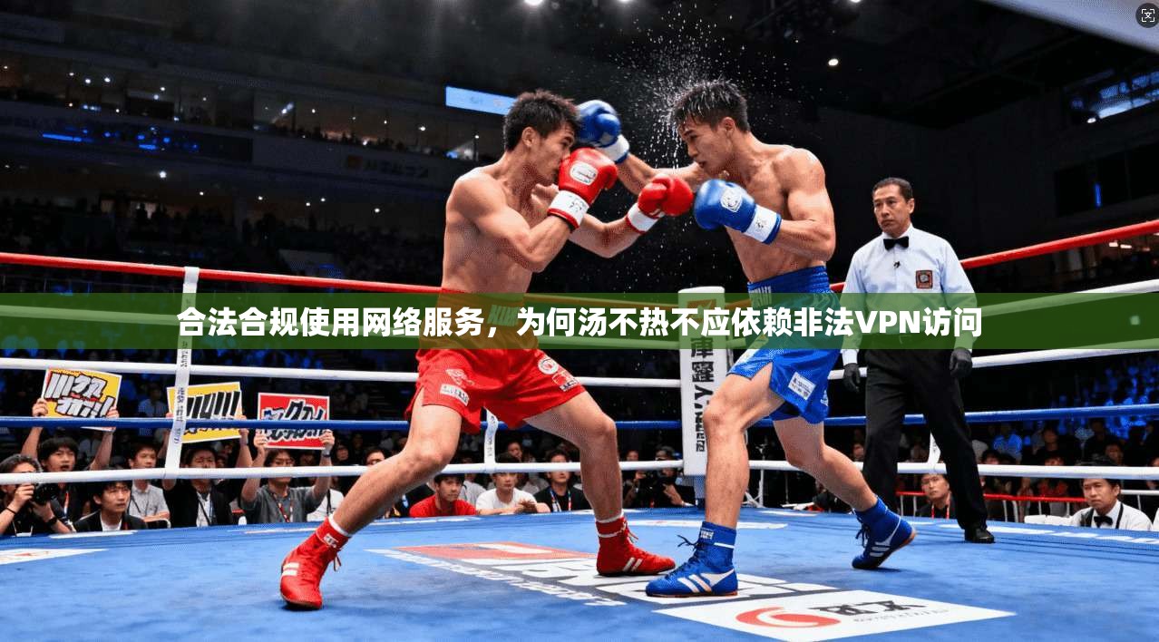 合法合规使用网络服务，为何汤不热不应依赖非法VPN访问
