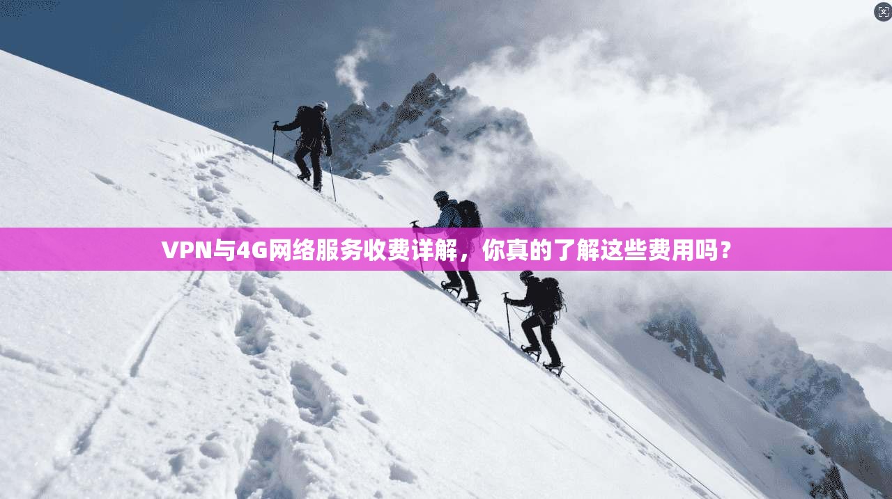 VPN与4G网络服务收费详解，你真的了解这些费用吗？