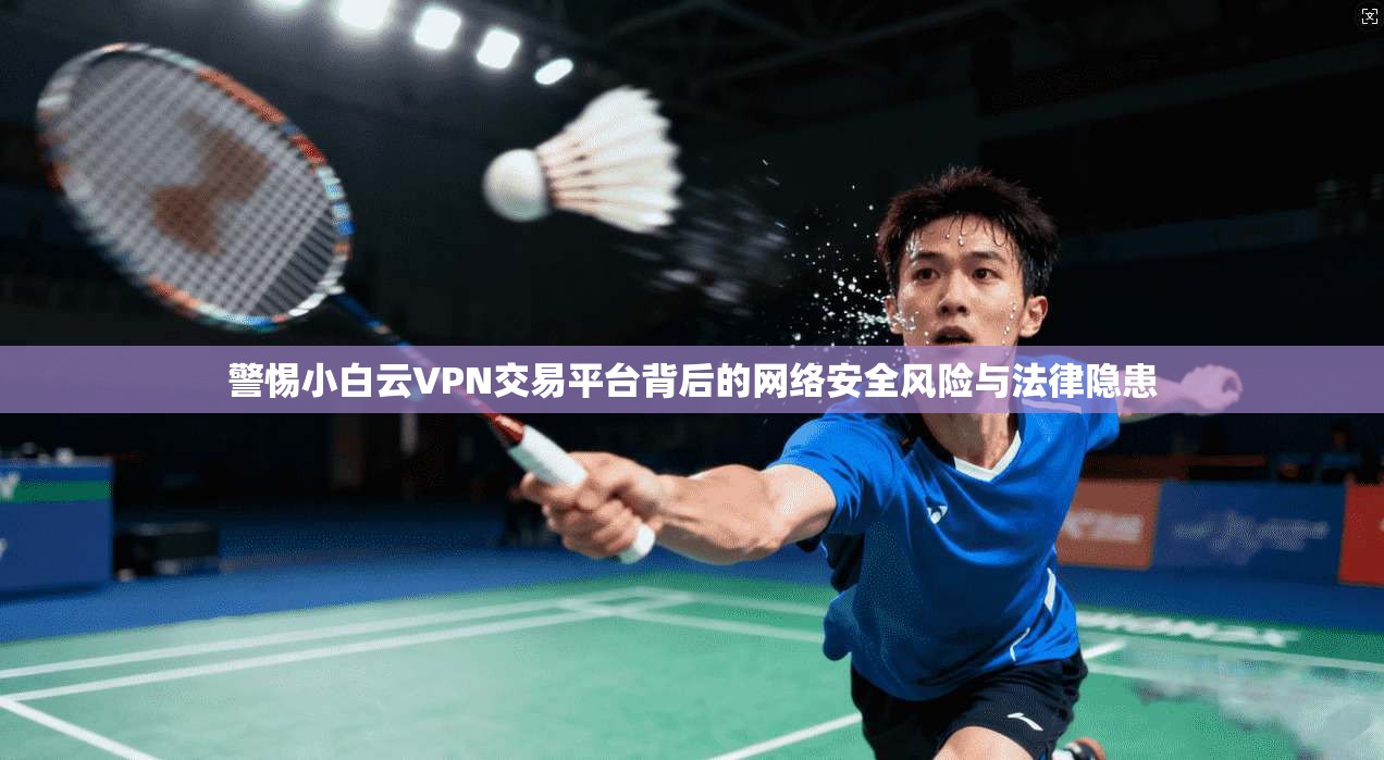 警惕小白云VPN交易平台背后的网络安全风险与法律隐患